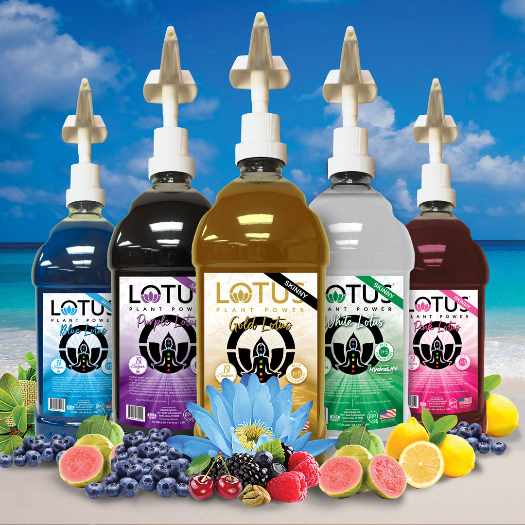 Skinny Lotus Energy Concentrate 1/2 Gallon Pump and Serve Bottles