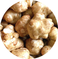 Jerusalem Artichoke