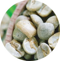 Green Coffee Beans